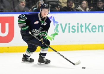 CPR Saves Thunderbirds' Joe Gramer After Scary WHL Hit